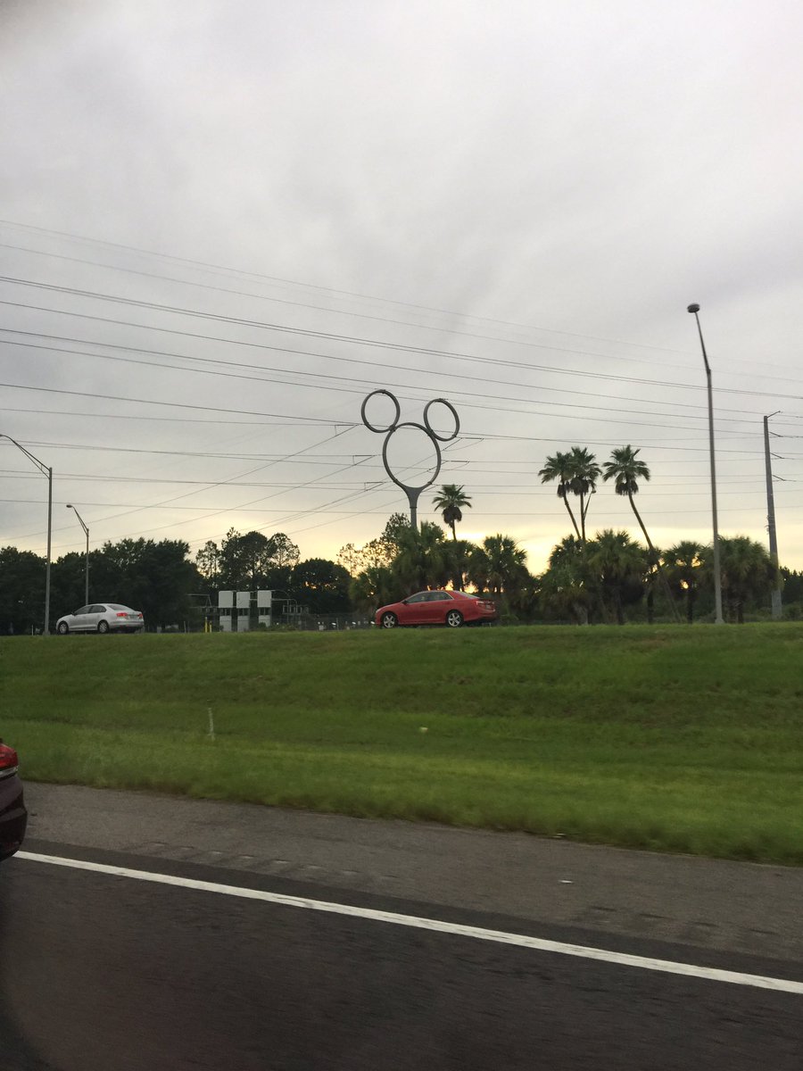 shookptpl's tweet photo. palm trees and disney power lines in florida - it's sooooo hot here even tho the photo doesn't look like it is https://t.co/b5ghUB3bBe
