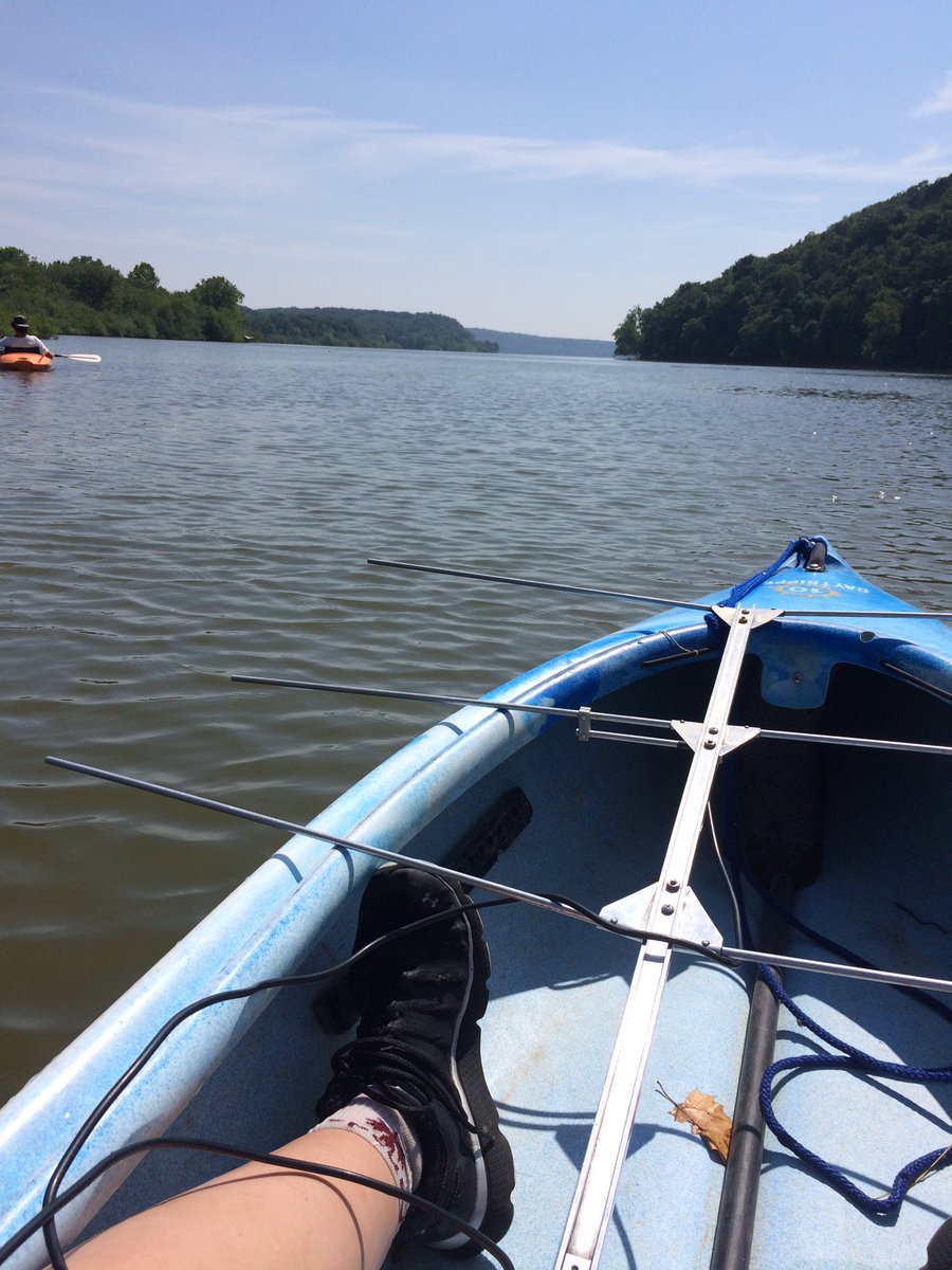 bowe_madison's tweet photo. I hope my lab fish didn't mind sharing me with the small mouth bass we were radio tracking the past few days! #LabVacation #REUStreamTeam https://t.co/mAr7E72jIp