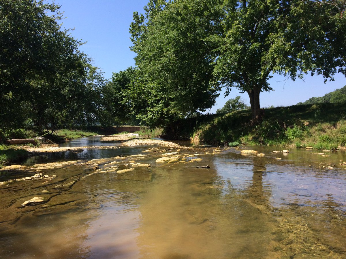 bowe_madison's tweet photo. I hope my lab fish didn't mind sharing me with the small mouth bass we were radio tracking the past few days! #LabVacation #REUStreamTeam https://t.co/mAr7E72jIp