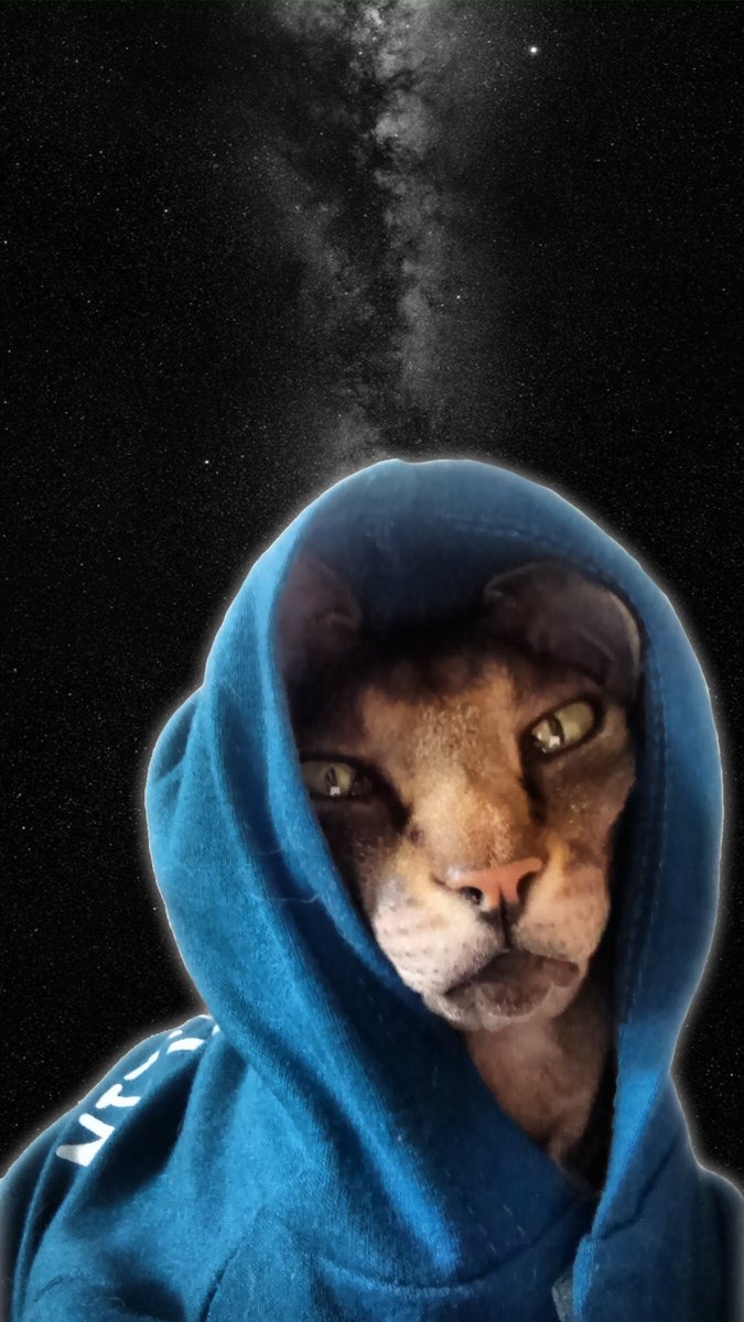 HairlessInSpace's tweet photo. https://t.co/FcWb1rblkv