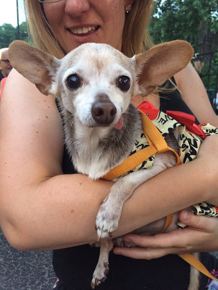 drinkforgoodCHI's tweet photo. Guest of honor ๐ #LiveLikeRoo #DrinkForDogs https://t.co/0RXF4o7j1k