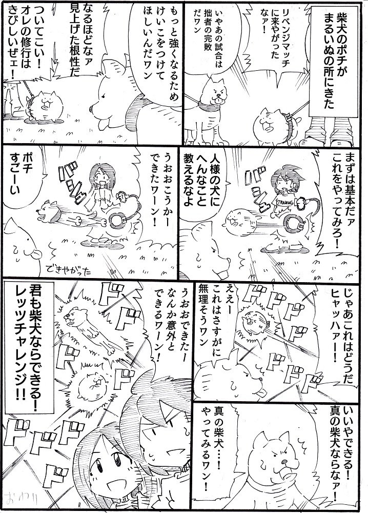 1ページ漫画まるいぬ⑧
最強犬種トーナメント完結
 #まるいぬ 