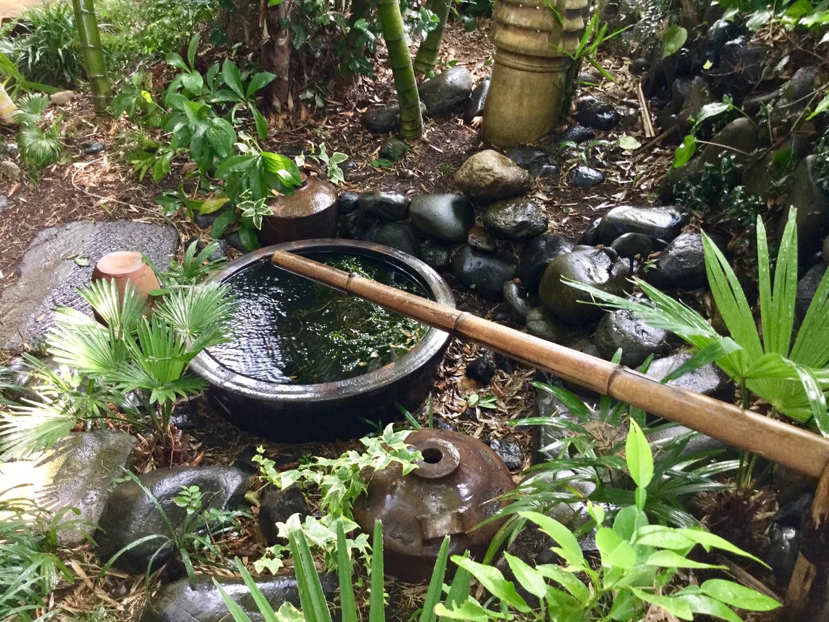 カフェ花豆 今日も暑いですね 熱中症に御用心 玄関先と庭に打ち水をしました 日陰に 水を撒くとゆっくりと蒸発し 気温が2度 も下がり そよ風が吹く効果があるそうです 古来 打ち水は場を清める意味もあるとのこと 清々しい気持ちで皆様をお待ちし