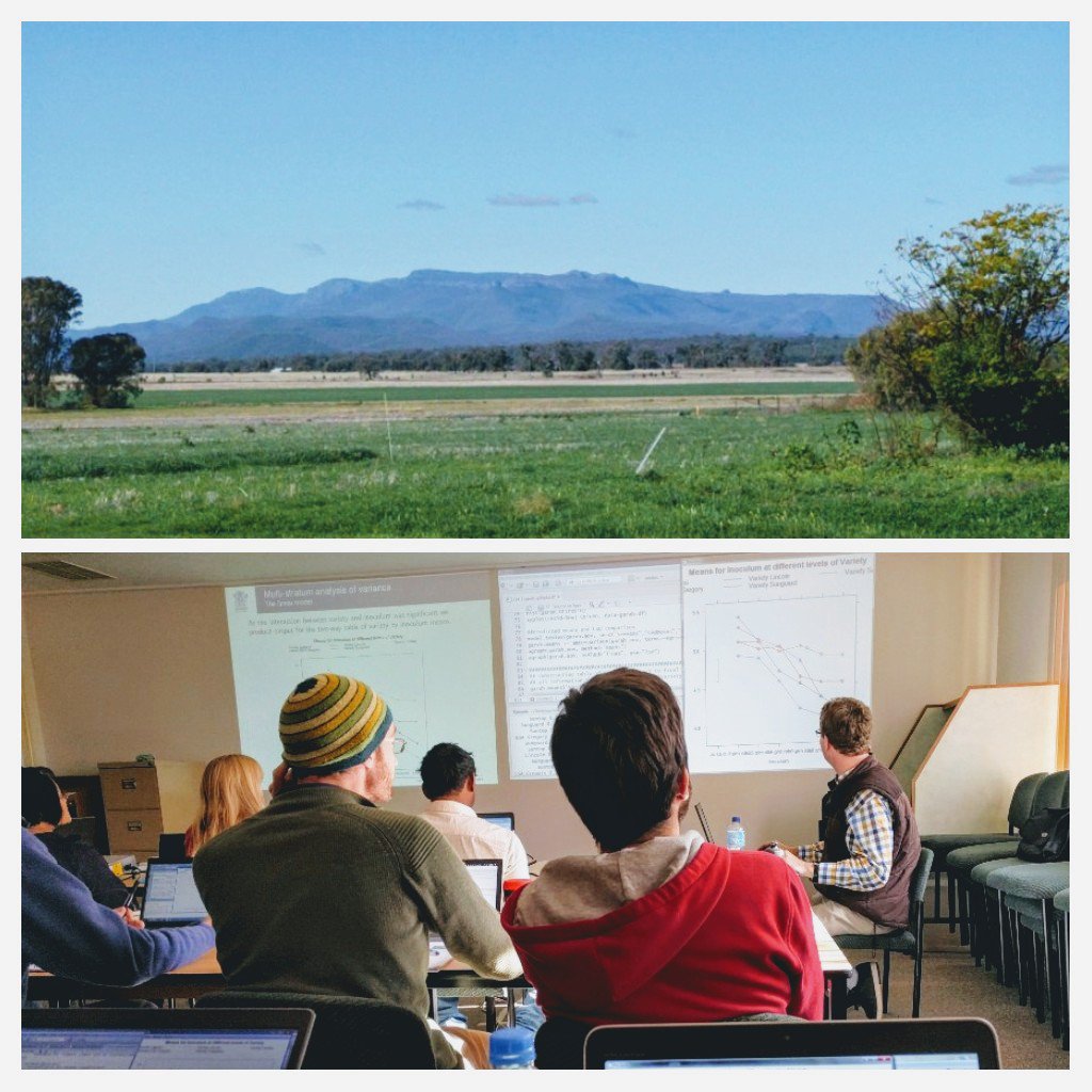 ToniPetronaitis's tweet image. #Statistics with a view! Just finished 3 day Intro to #LinearMixedModels course at Narrabri PBI (hello Mt Kaputar)! Thanks #GRDC and #SAGI