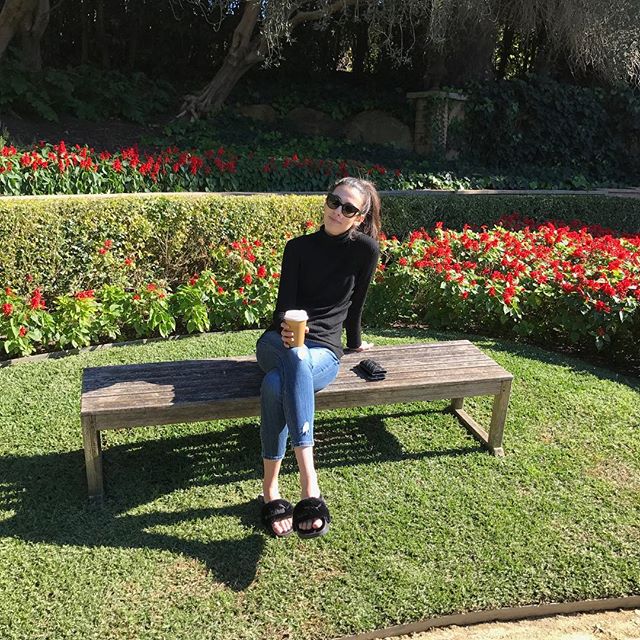 HunterValleyGardens tweet media