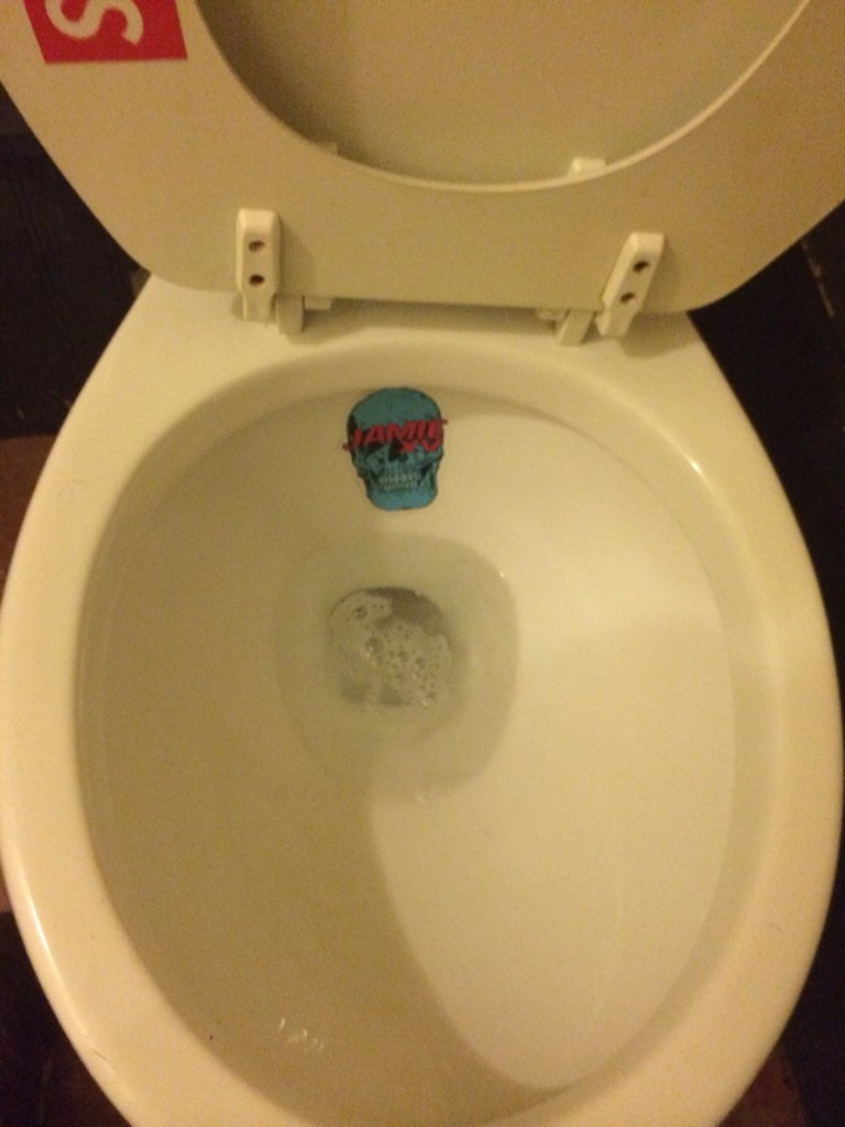 bpbcory's tweet photo. When in Rome, put your hand in a toilet to promote yourself https://t.co/AT1SnDx7Pc