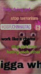 evnstant's tweet photo. work like a charm. every single fuckin times. thank u #hastag https://t.co/6uOgHgr3u0