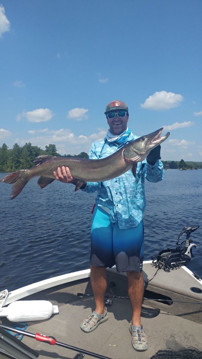 C_Norton7's tweet photo. 45 inch Musky. Lower Buckhorn, Ontario Canada. https://t.co/NxlJypnf3a