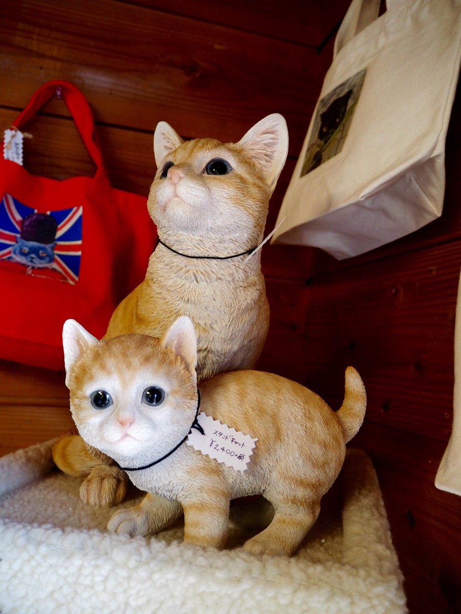 KanbutsuyaSan's tweet photo. ニャンコ！
Le Chat des Bois
The Cat of the Woods
#Le_Chat #Cats #清里 #ル・シャ・デ・ボワ https://t.co/djAqrCcPDZ