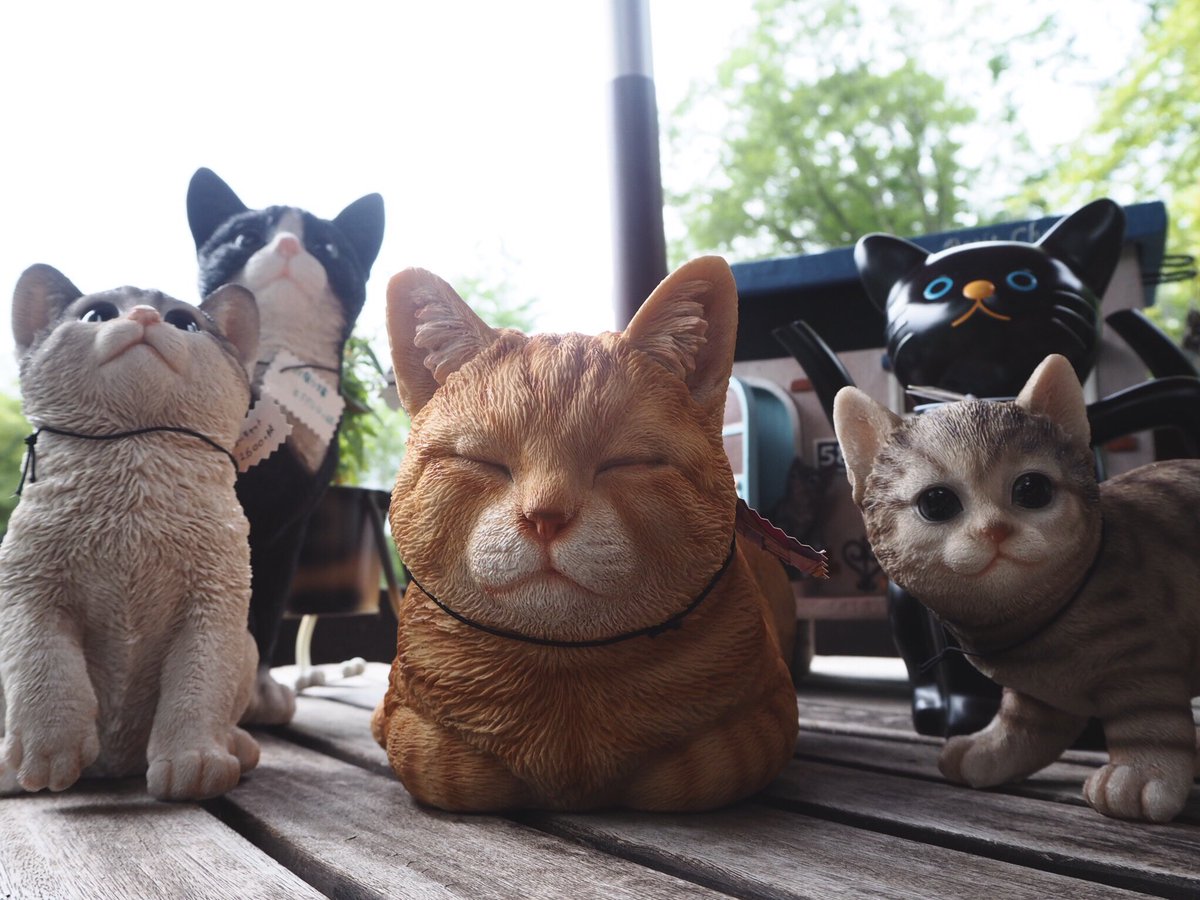 KanbutsuyaSan's tweet photo. ニャンコ！
Le Chat des Bois
The Cat of the Woods
#Le_Chat #Cats #清里 #ル・シャ・デ・ボワ https://t.co/djAqrCcPDZ