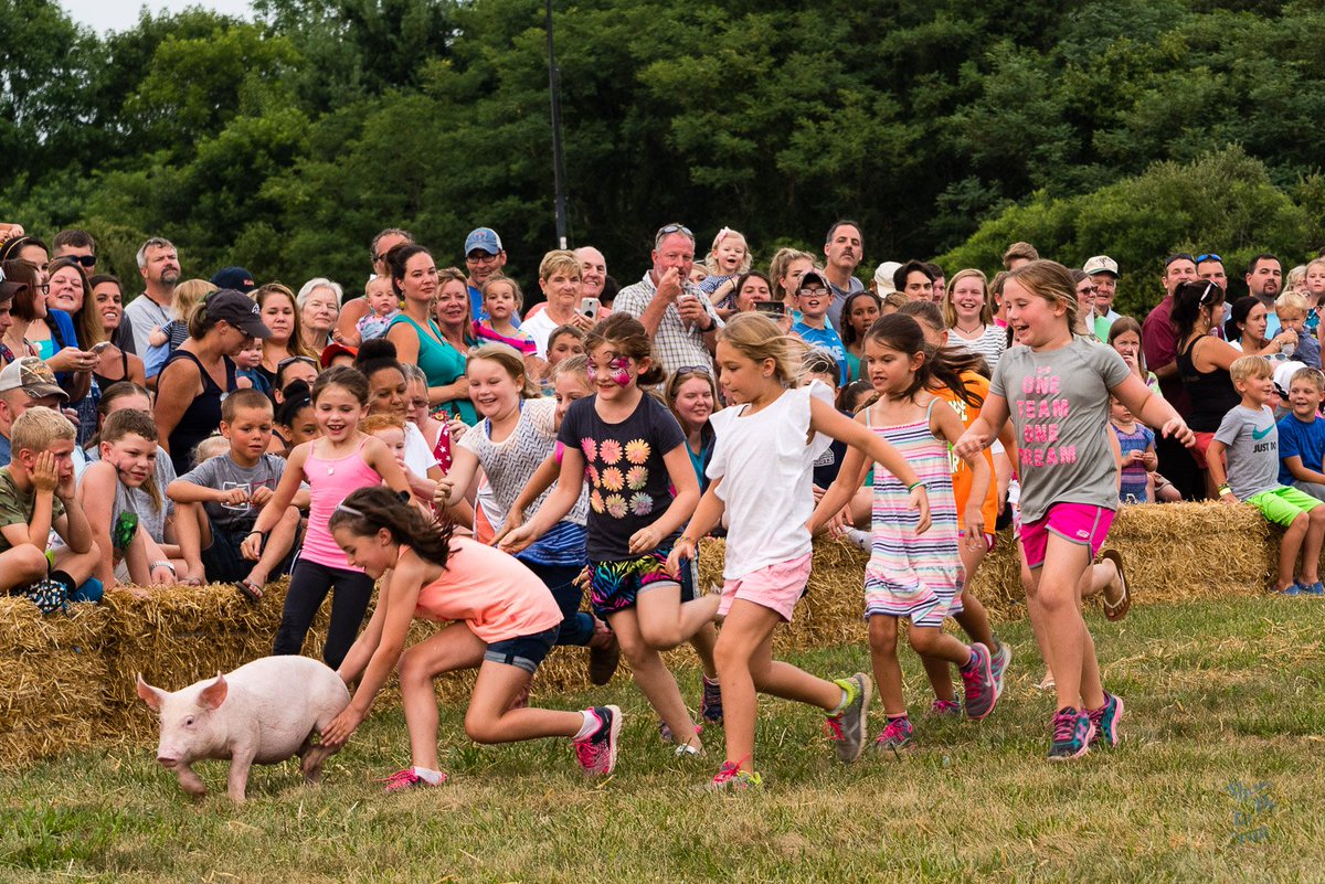 LocalInKent's tweet photo. It was a warm day at the KC Fair (OK HOT), but it still was a day full of fun. Especially the kids and pigs
#KentMD #KCFair #countyfair https://t.co/WzTBDO9eyd