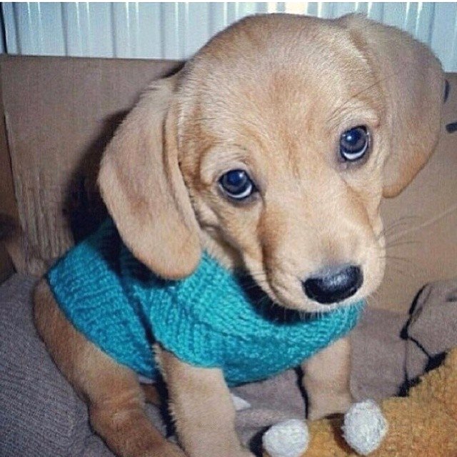 discountdogs's tweet photo. https://t.co/p2yrxMc52o
