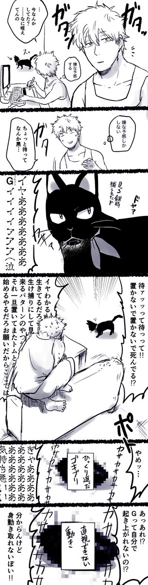 昨日深夜2時頃の出来事
私代理:銀さん
猫代理:猫ヅラ 