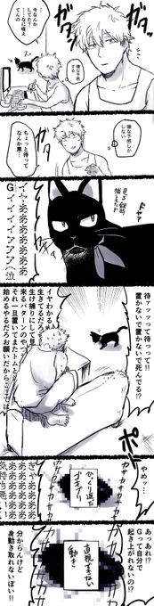 昨日深夜2時頃の出来事
私代理:銀さん
猫代理:猫ヅラ 