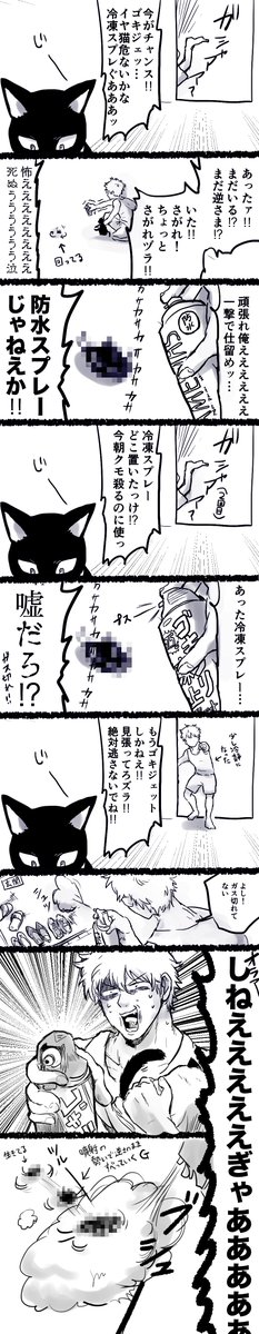 昨日深夜2時頃の出来事
私代理:銀さん
猫代理:猫ヅラ 