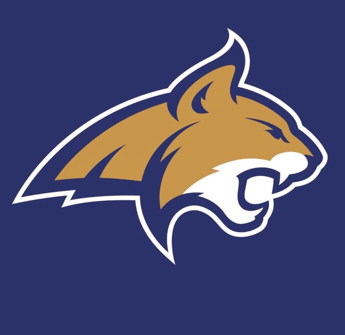 samuelu_leota's tweet photo. Extremely blessed to say that i have committed to Montana State! Go Cats Go! https://t.co/UnqHStx9gd