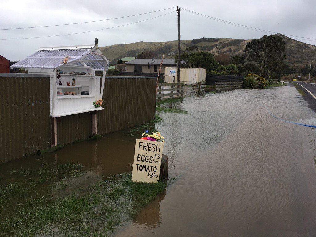 neetchi's tweet photo. .@weatherwatchnz  A bit hard to access tomatoes at Harington Point today https://t.co/5vBYVkU5b4