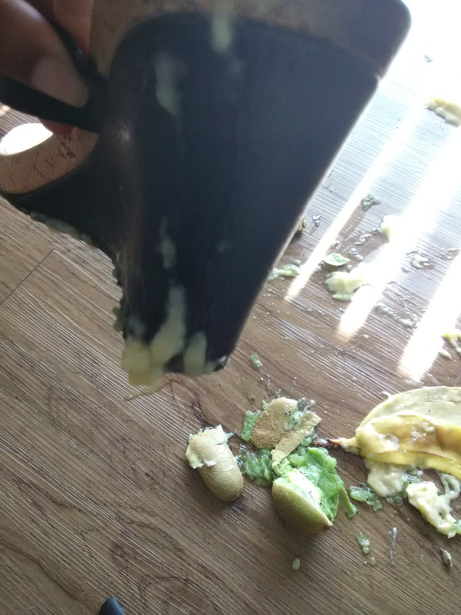 ReynasWorld_XO's tweet photo. Destroying this fruit. You're next. Dm me for clips #footfetishnation #sissytraining #humiliationnation #FemDOM https://t.co/VsFY4k0ElQ