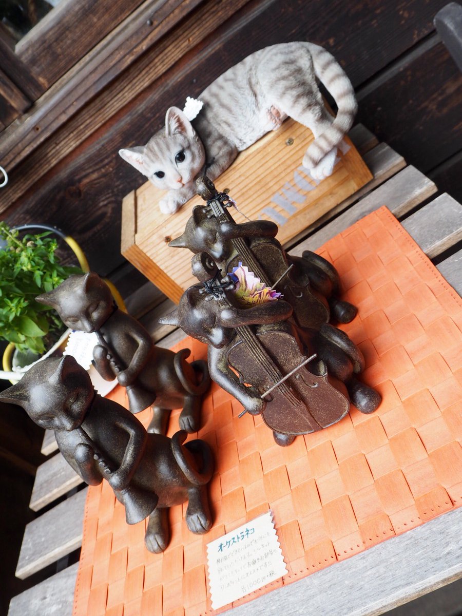 KanbutsuyaSan's tweet photo. ニャンコ！！！
Le Chat des Bois
The Cat of the Woods
#Le_Chat #Cats #清里 #ル・シャ・デ・ボワ https://t.co/nb6qqx8Kyp