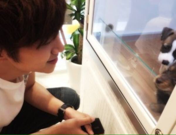 junho archive (@junhoarchive) on Twitter photo 