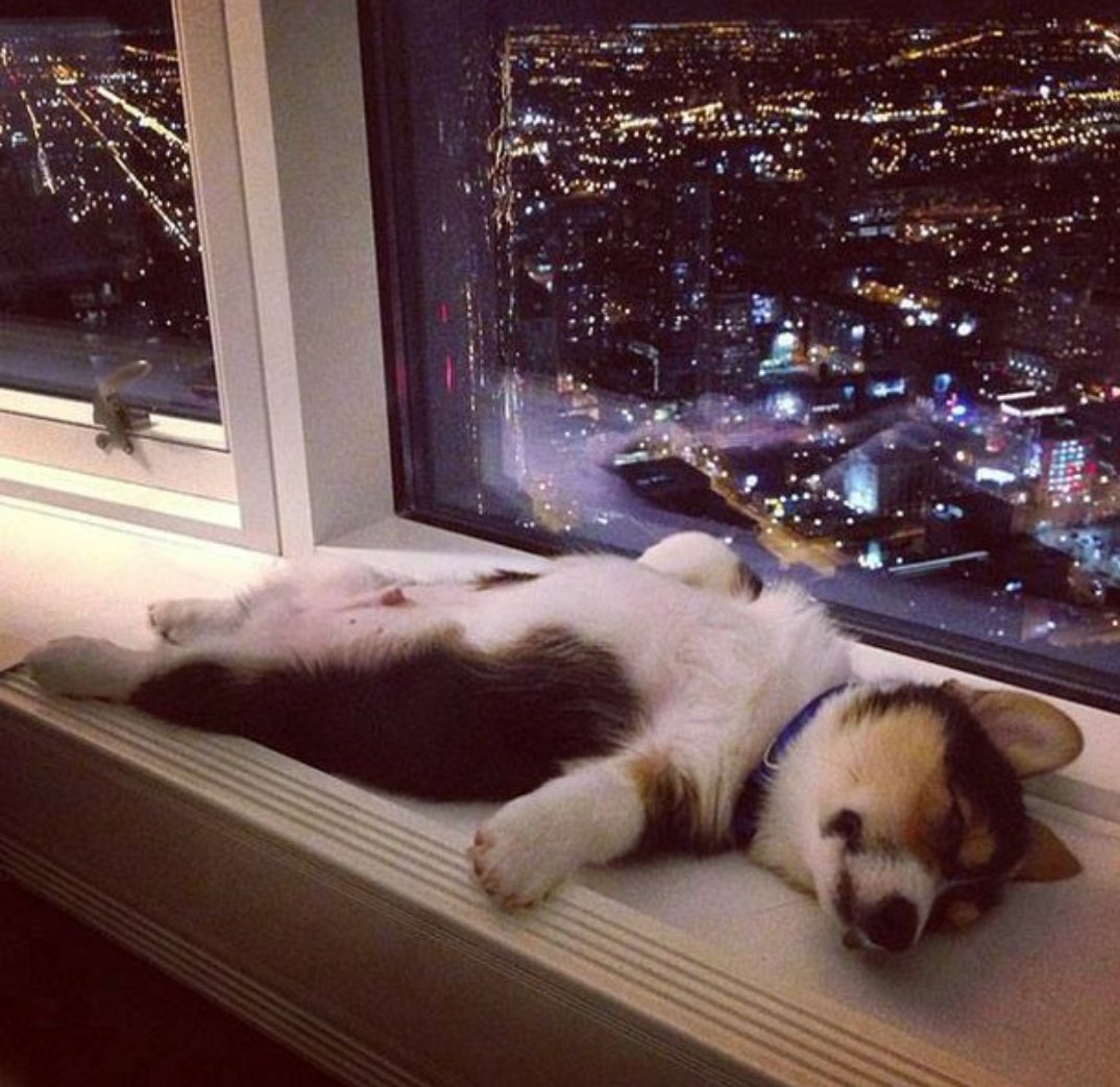 C0NRADF's tweet photo. It's Friday!!! YAY #zzz https://t.co/xhmYXFCahR
