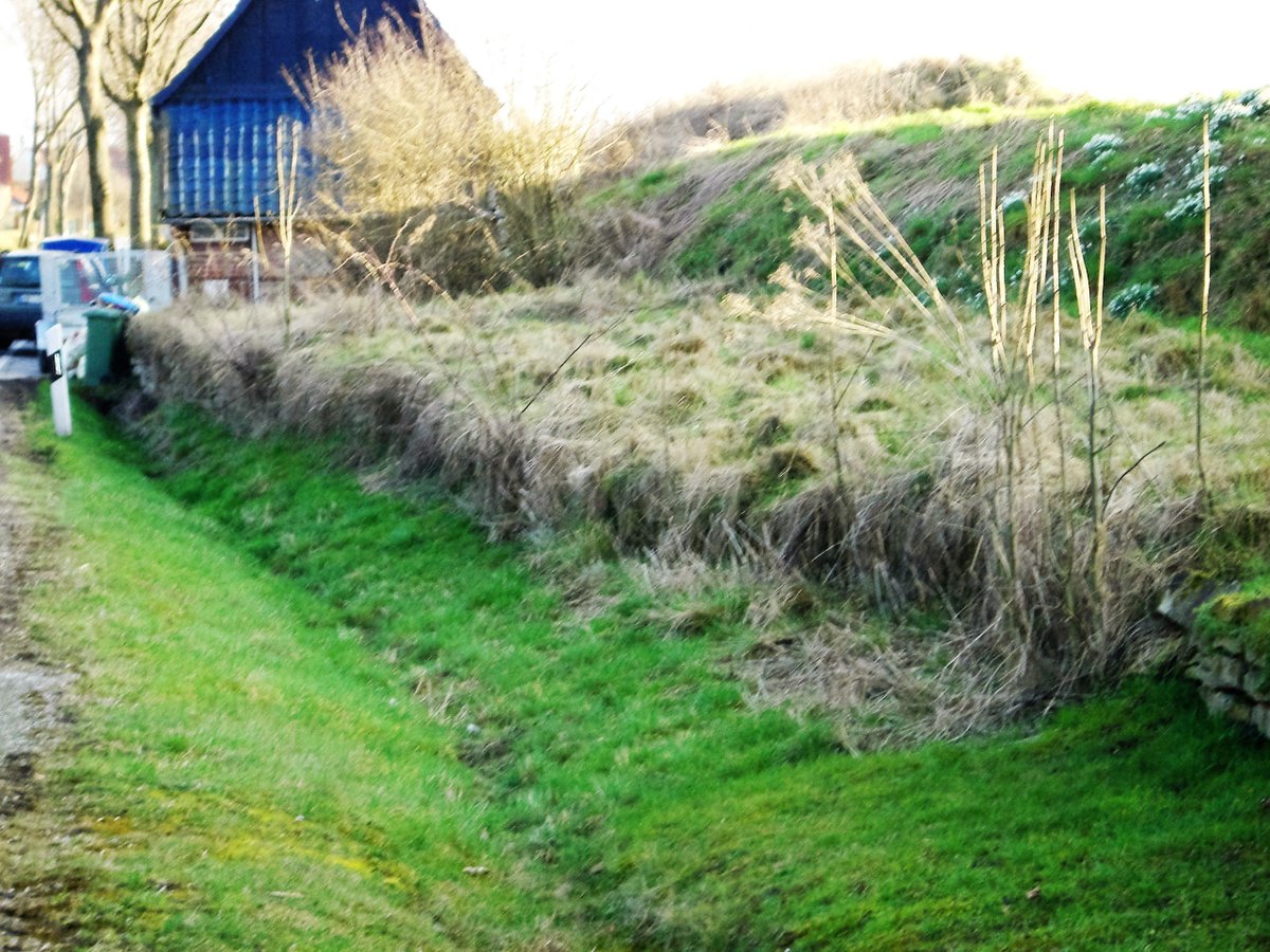 bodo sumfleth (@bodo522) on Twitter photo 