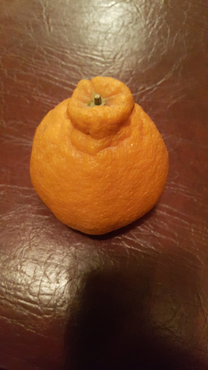 염라대왕님께 손검사 받고 염라봉 받았다ㅋㅋㅋ 집가서 먹어야지😍