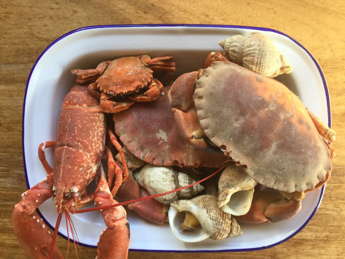 "Strange we eat so very little fish, when the fishermen of this country land so much and in such variety" Keith Floyd 1985. He knew....