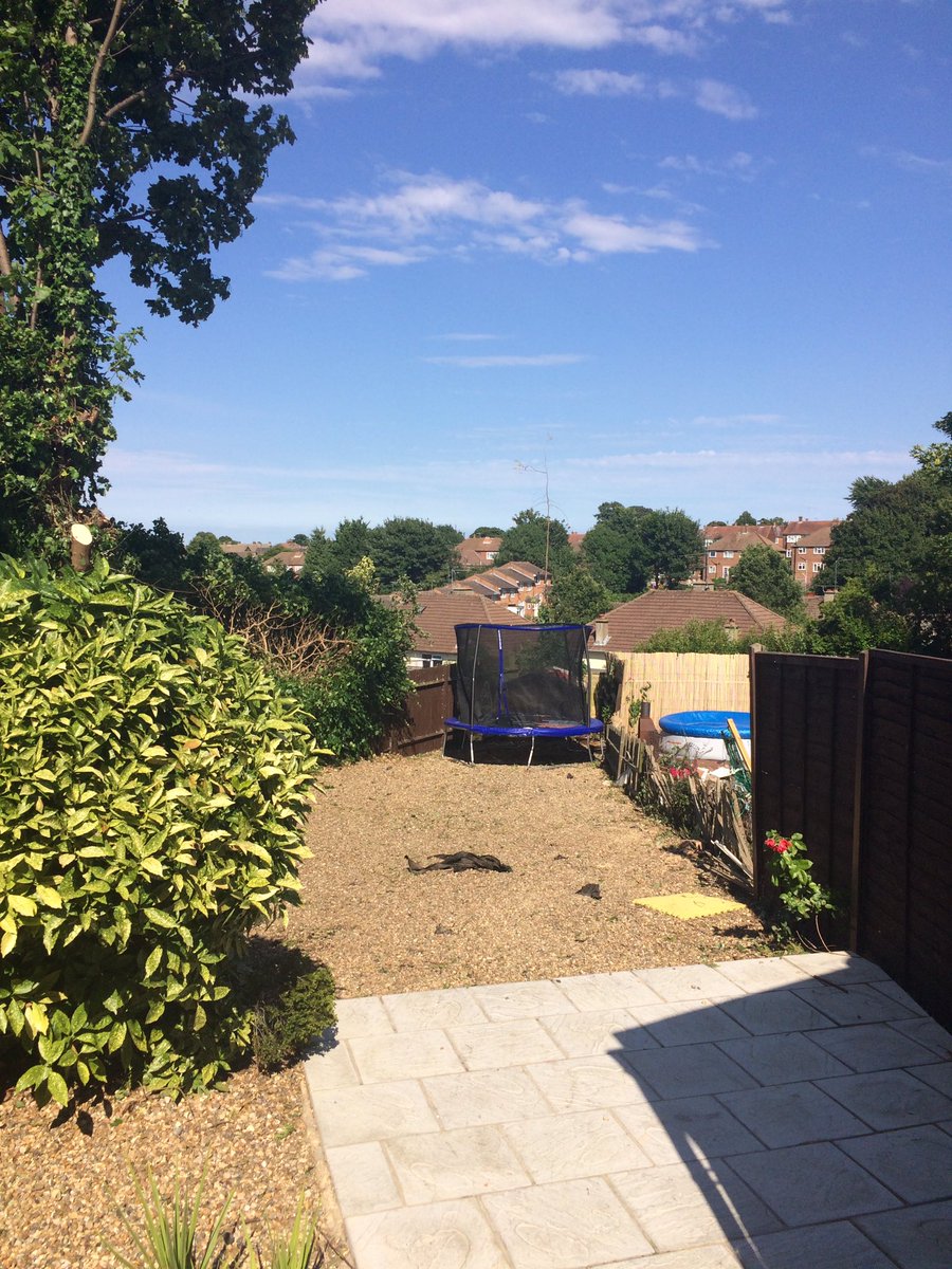 BarhamTrees's tweet photo. A very satisfying before and after in #Rochester https://t.co/1HmtcvZnxk