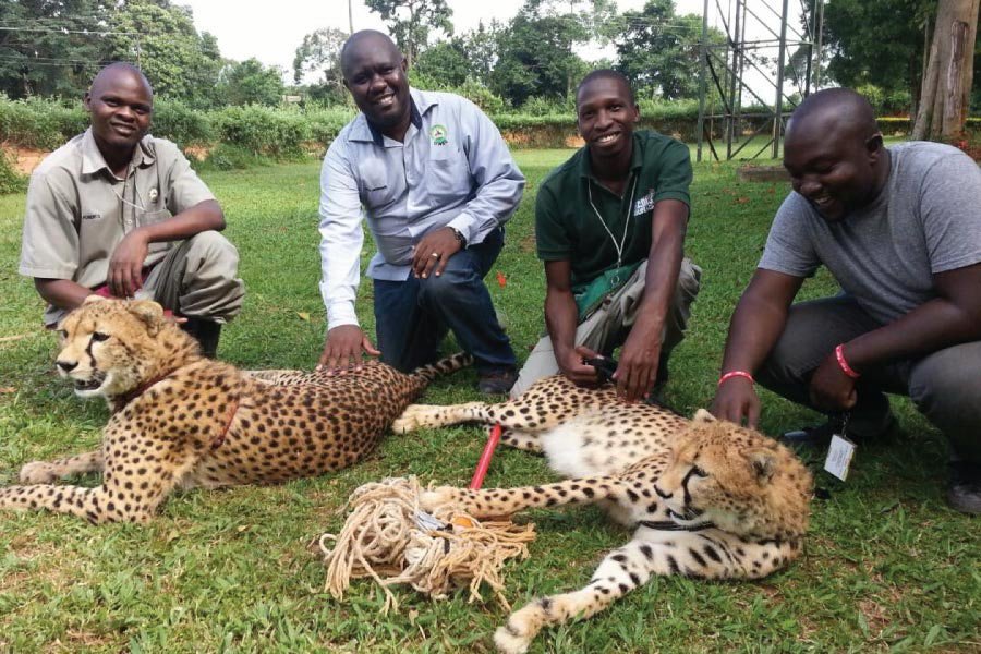 ParkviewSafaris's tweet photo. @MostafaAminWay Hi Amin, I am Robert at parkview safaris, I have seen that your want tour package from Uganda, kindly send me your email https://t.co/19YKL0XfiG