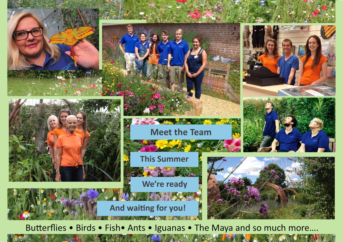 Team Butterfly are ready and waiting for you! #summerholidays #familyfun <a href="/StratfordMums/">Stratford Mumbler</a> <a href="/SUA_online/">Stratford-upon-Avon</a> <a href="/ShakespearesEng/">Shakespeare’s England</a>