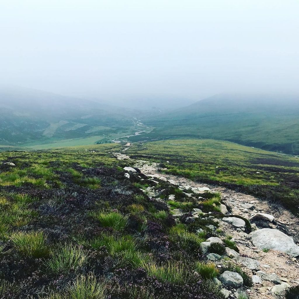 rugbydick's tweet photo. 3hrs running, 2000m ascent and this was the best view I had all day.
#trailrun #trailrunner #trailrunning #mountk… https://t.co/0z1gmMP4NC https://t.co/vCdNmXgG3b