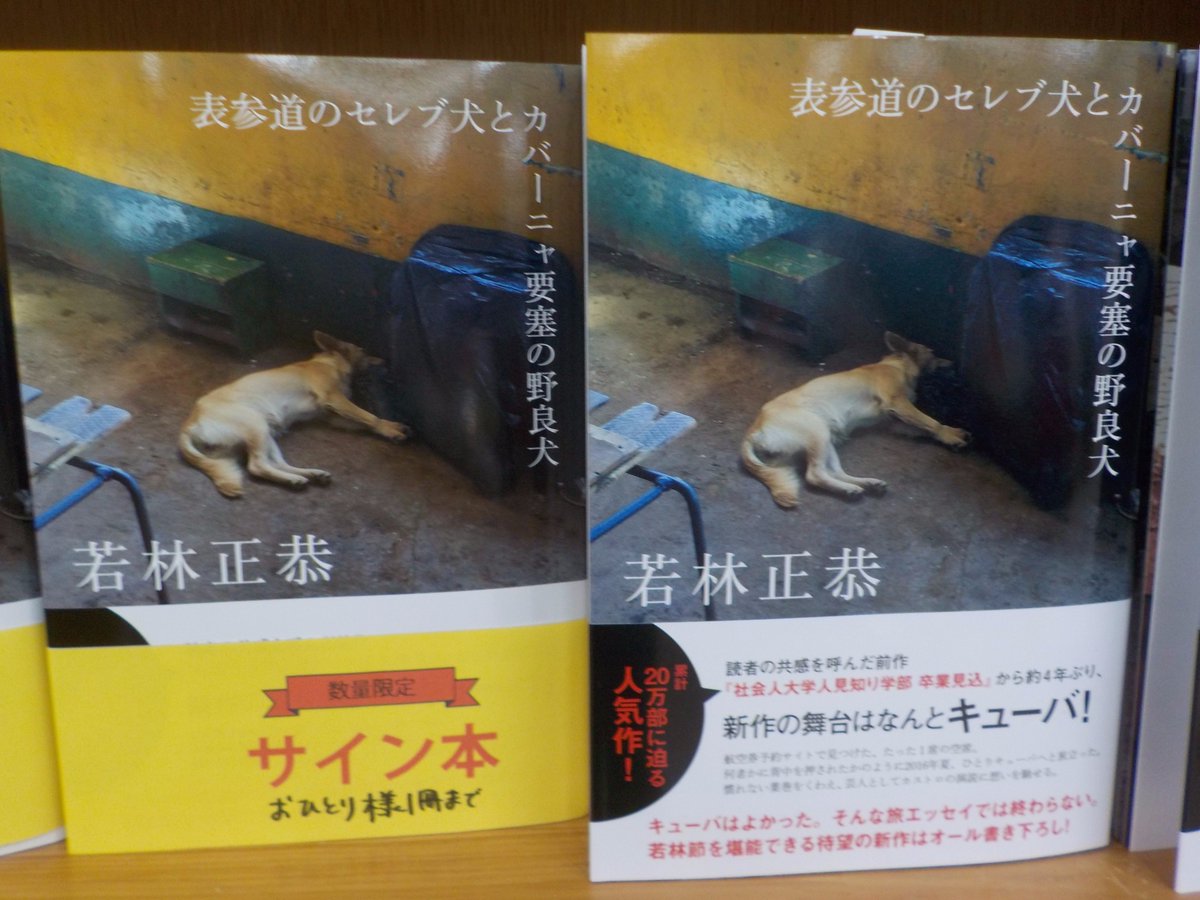 ジュンク堂書店池袋本店 文芸文庫担当 on X: ジュンク堂書店池袋本店 文芸文庫担当 on X: