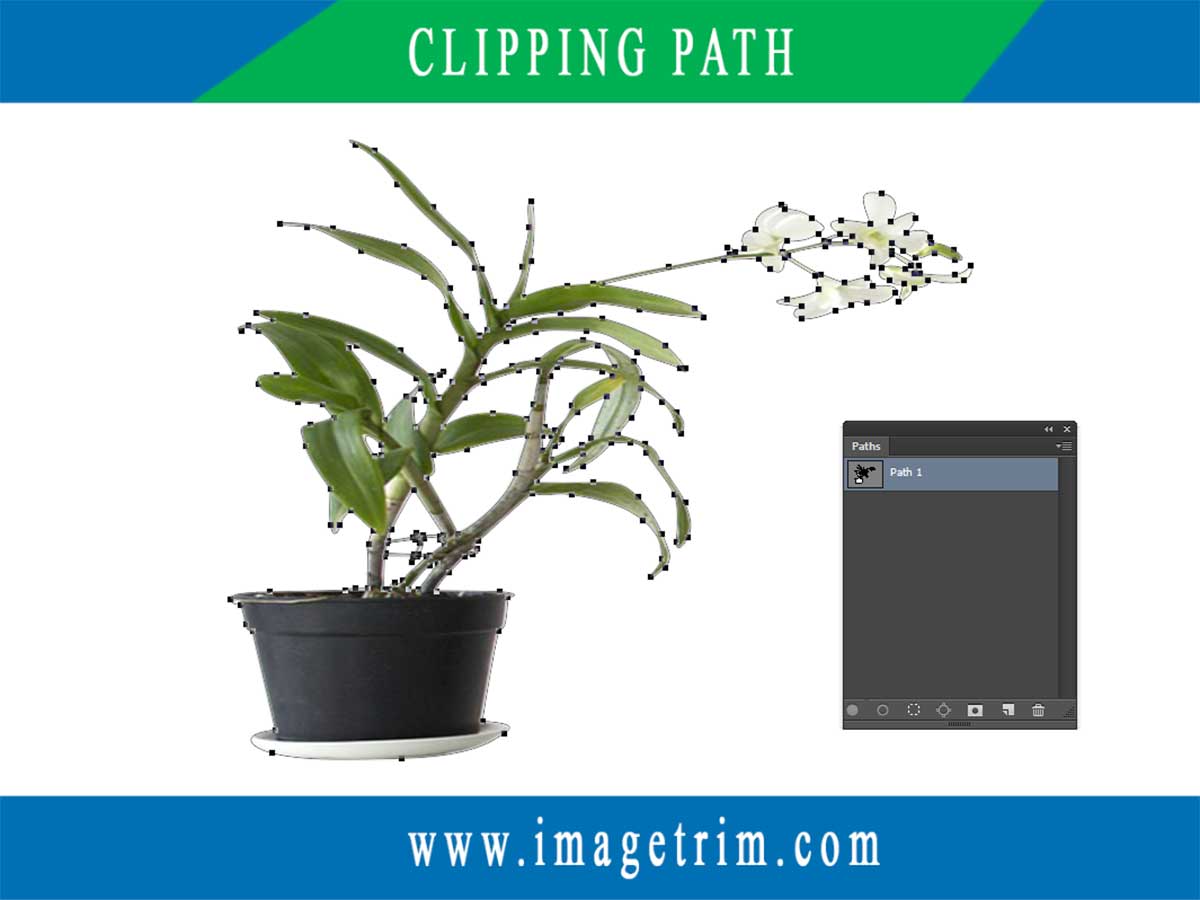 ImageTrim1's tweet image. Clipping path is the requirement of all kinds of Photoshop image editing.
visit us at imagetrim.com
