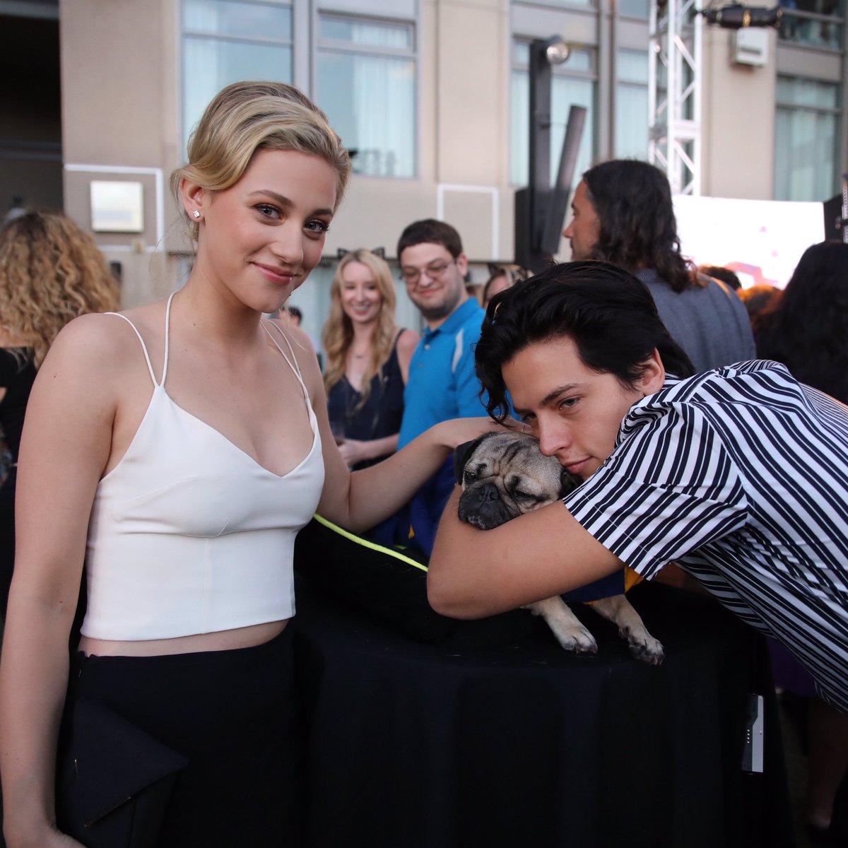 itsdougthepug's tweet photo. They should have a pug on Riverdale https://t.co/mLwh1k4jR8