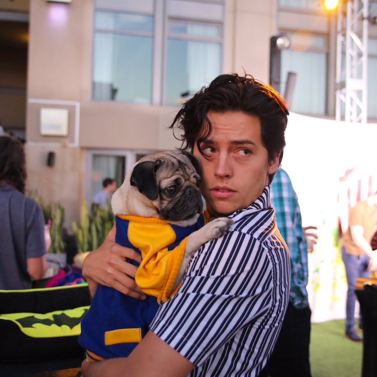 itsdougthepug's tweet photo. The bromance of our generation @colesprouse https://t.co/tjymT0RUvq