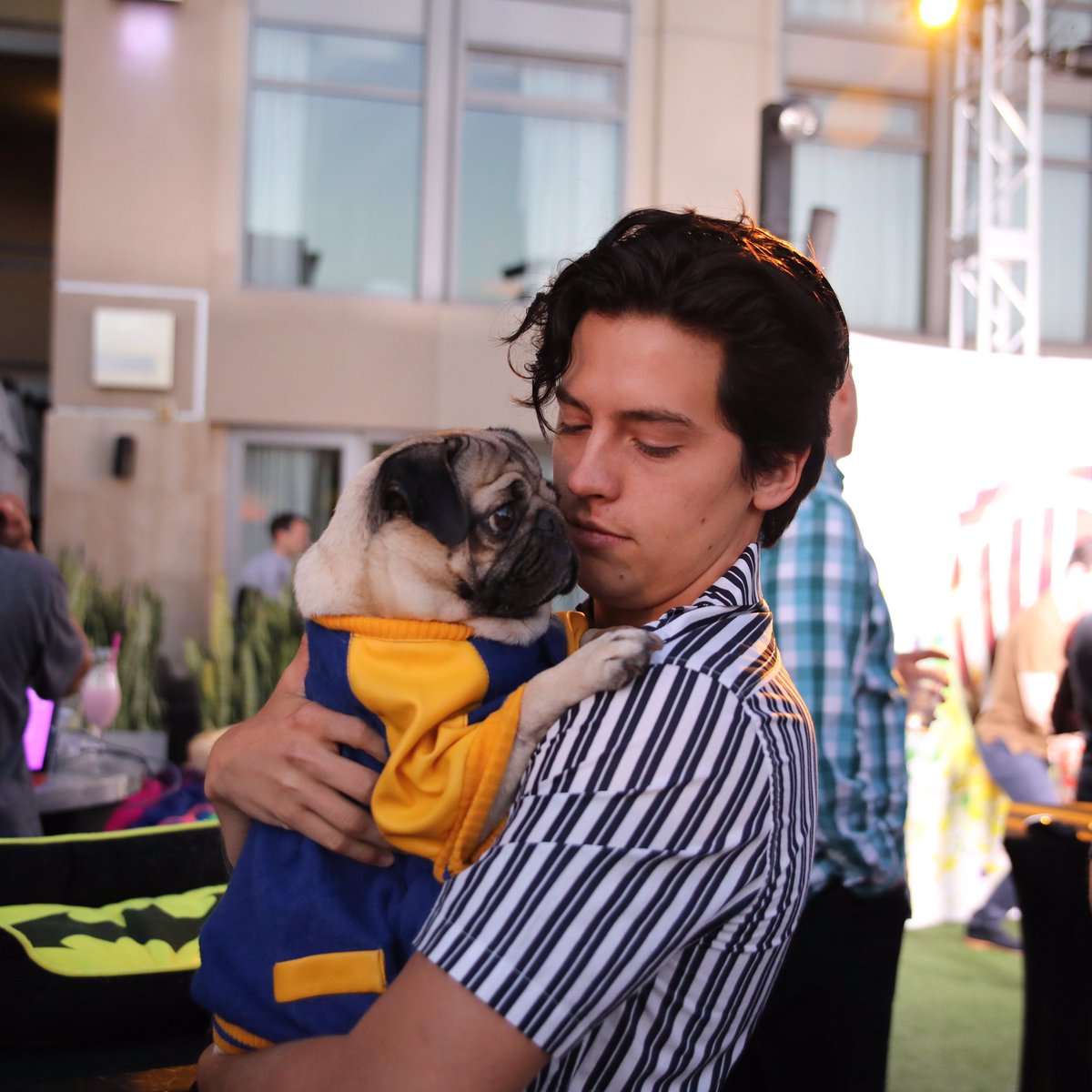 itsdougthepug's tweet photo. The bromance of our generation @colesprouse https://t.co/tjymT0RUvq