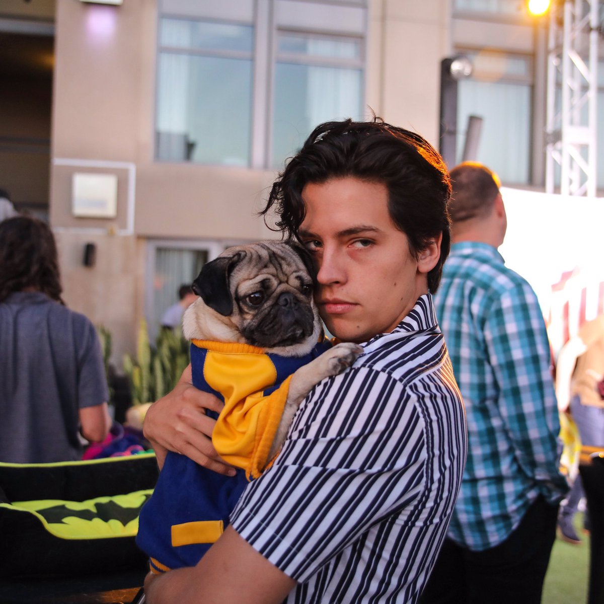 itsdougthepug's tweet photo. The bromance of our generation @colesprouse https://t.co/tjymT0RUvq