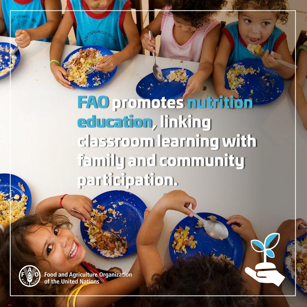 ChadDigo's tweet photo. Promoting #nutrition through schools can create benefits that extend beyond the classroom. #FAOfacts https://t.co/TndJvFYZYY