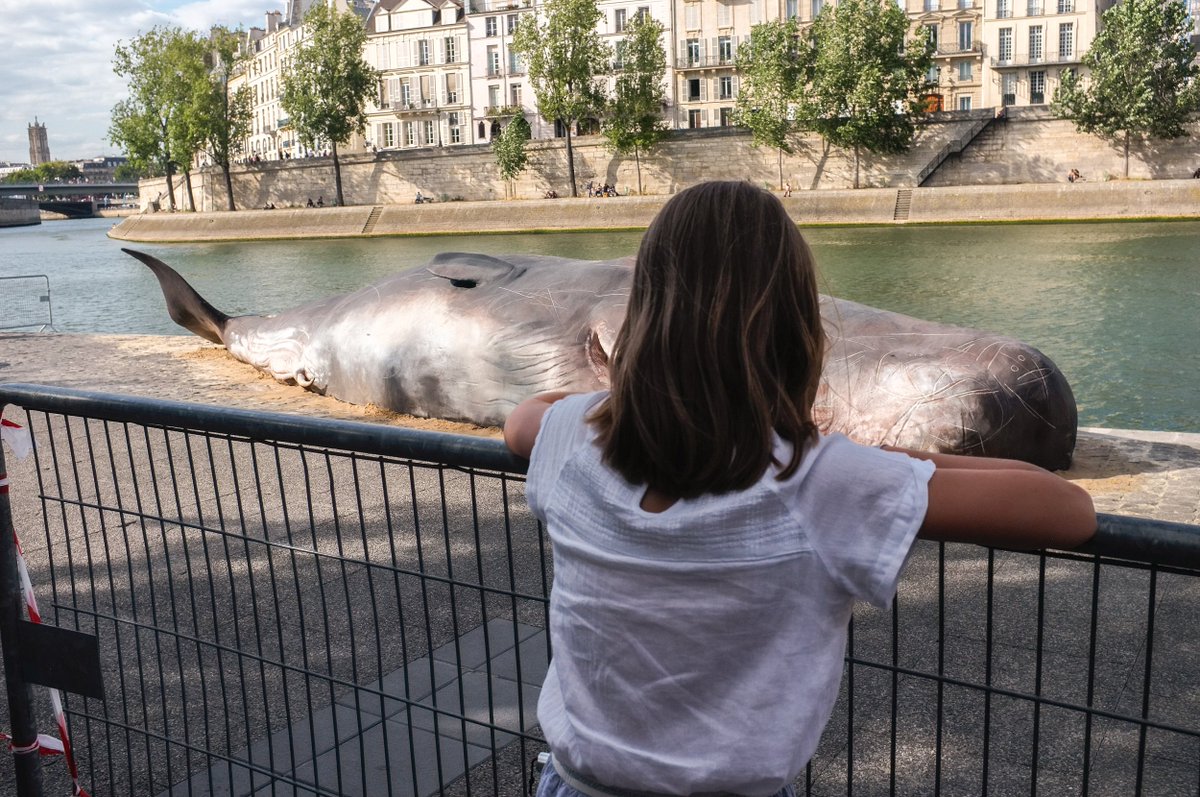 CGTNOfficial's tweet photo. Giant whale sculptures placed in front of the #NotreDameCathedral in Paris against whale hunting https://t.co/EDPUn8HeKA