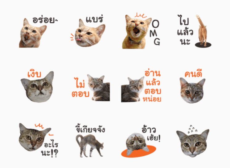 souyusou's tweet photo. 💙 PLS RT 💙

[Now released] #stickerlineth
FUTORU CAT 🐱 

Download >> 
https://t.co/4o4UyF5hI6 https://t.co/Q3tX1IyOMb