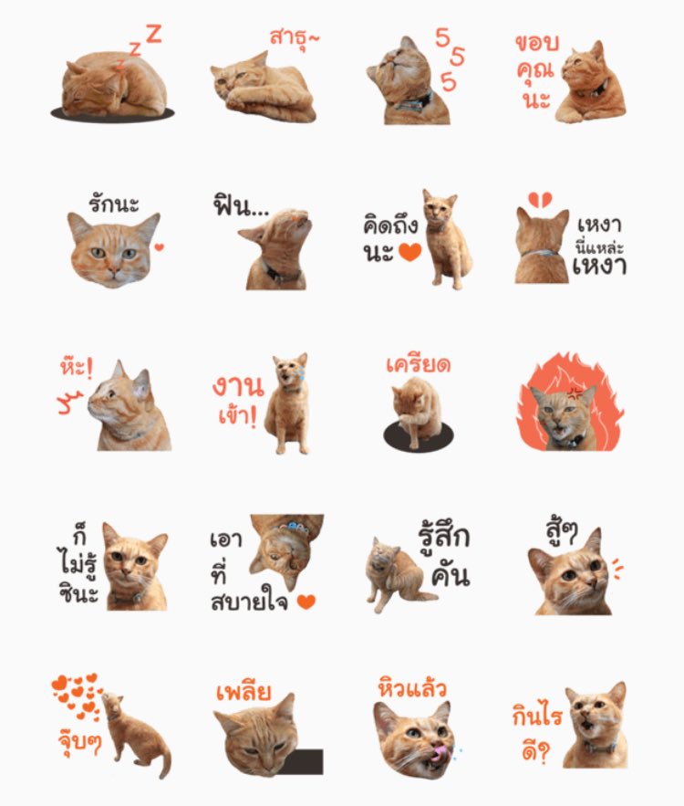 souyusou's tweet photo. 💙 PLS RT 💙

[Now released] #stickerlineth
FUTORU CAT 🐱 

Download >> 
https://t.co/4o4UyF5hI6 https://t.co/Q3tX1IyOMb