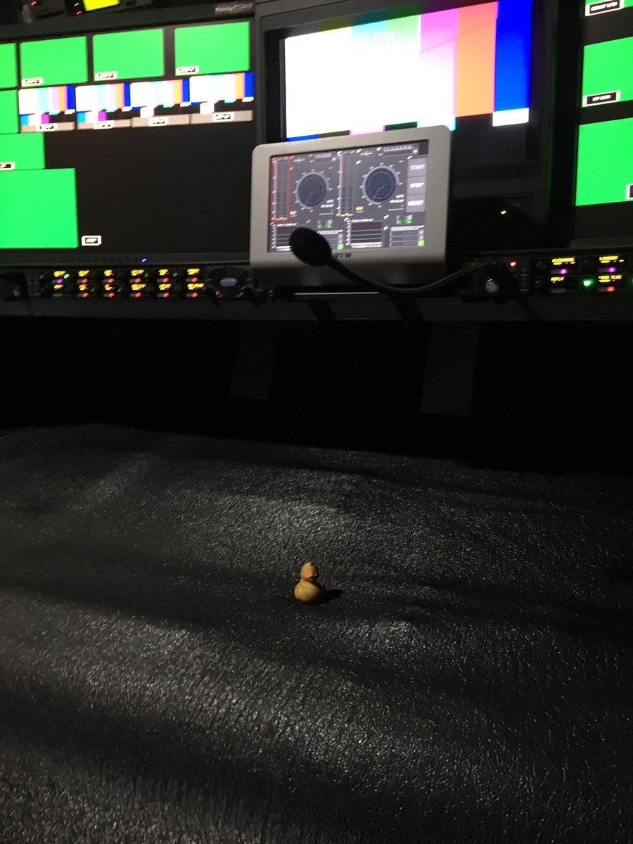 nedlepingouin's tweet photo. Rentrer maison !! https://t.co/mzPwIPvkb0