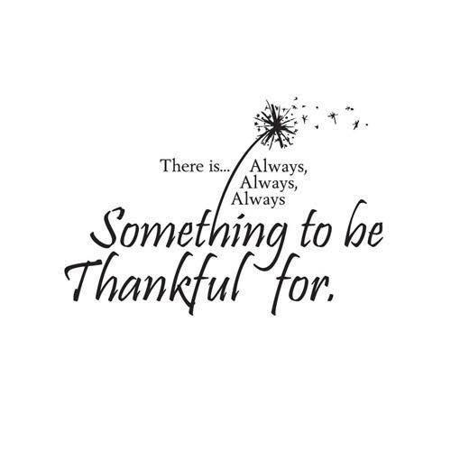 leandra_goodall's tweet photo. No matter what life throws your way be thankful....wake up breathe &amp; start again ❤️

Life is precious 😘

Morning 🌸🌸🌸 https://t.co/zKSbcUKIpu