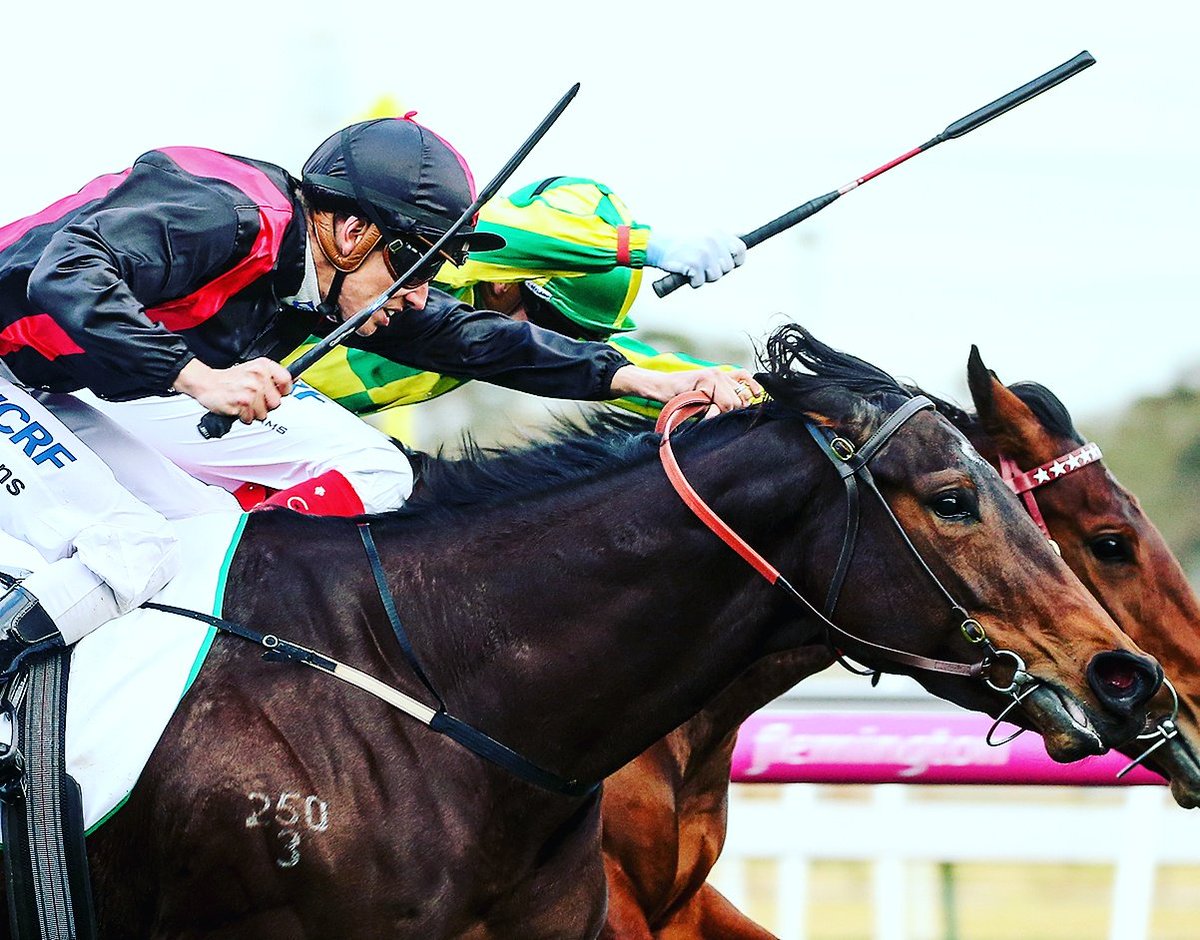 scalamania's tweet photo. Chris Symons lifts Swampland to win race 8 at Flemington today #racingdotcom #racingvictoria #racingphotos #racingphotography https://t.co/VbDqaiX0Xo