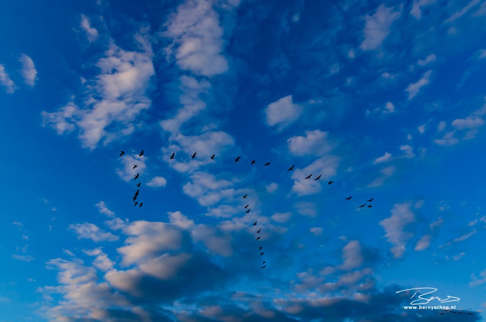 <a href="/mooielucht/">Mooielucht</a> vanochtend bij de #oeverlanden #hollandsdiep #strijensas  #hoekschewaard <a href="/NLHW1/">NLHW</a> <a href="/GezienindeHW/">Gezien in de HW</a> @HW_Landschap @denatuurin_nl