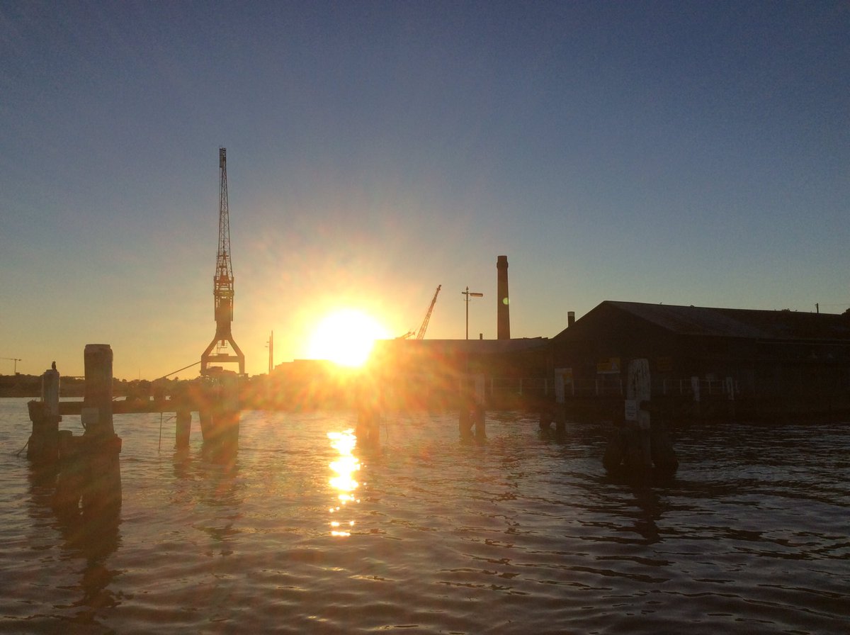 TKAnderson tweet media