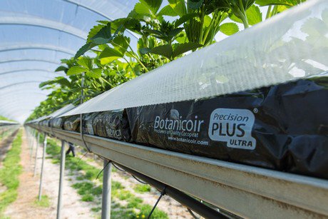 Botanicoir presents new growbag with unique open structure @BotanicoirLtd hortidaily.com/article/36529/… https://t.co/GEKngV2dHW