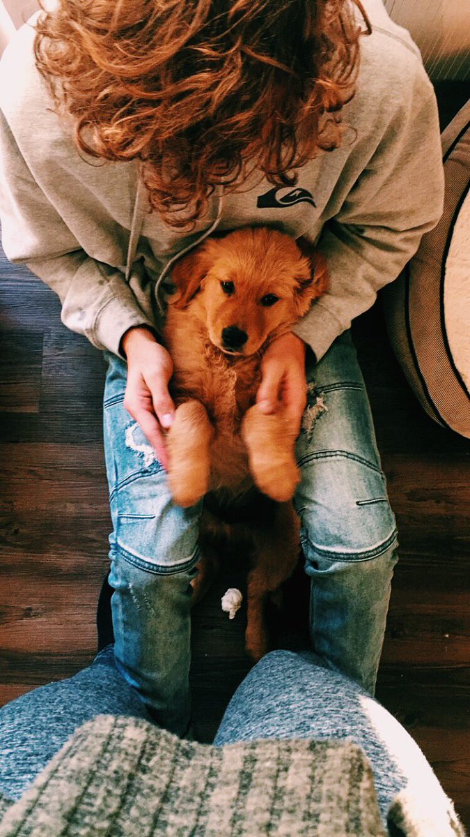 paigemcbridee's tweet photo. this is probably the best picture i've ever taken https://t.co/WdSShAq51T