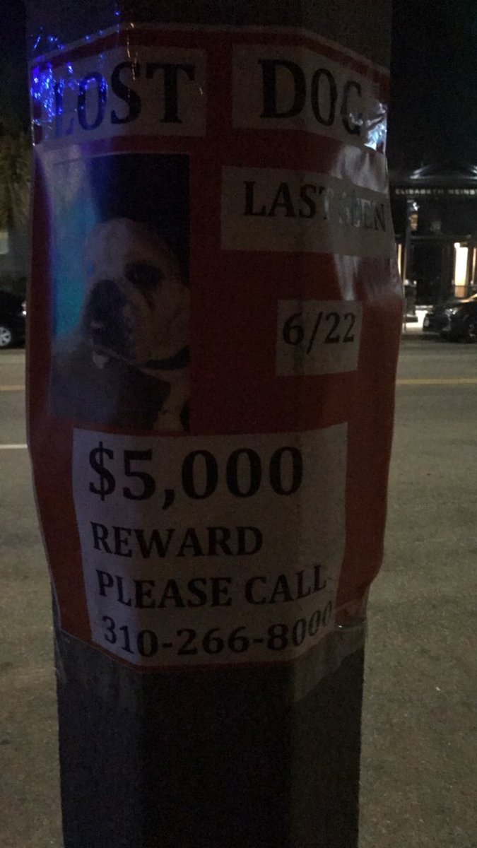 DFUoZGNWsAEIyuo.jpg (675×1200)